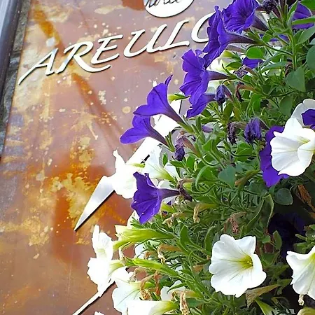 Areulo