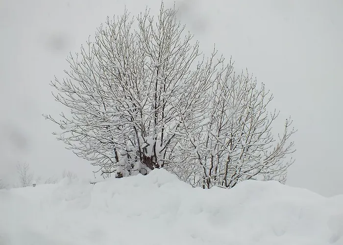 Hotell Areulo Cerler