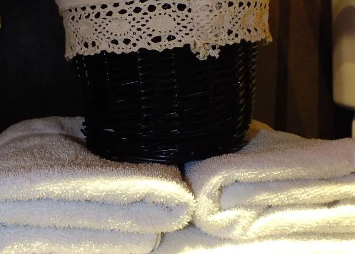 阿莱洛酒店 3* 塞尔勒